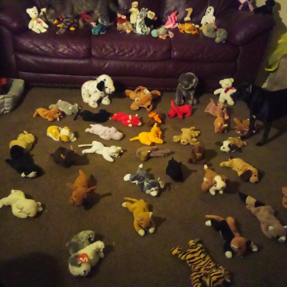 Rare and retired original Beanie babies - Picture 7 of 11